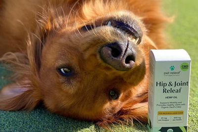 How to Shop for Pet CBD in an Oversaturated Market