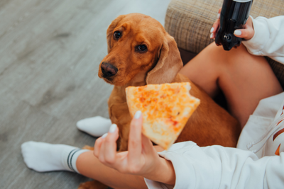 Can Dogs Eat Pizza?