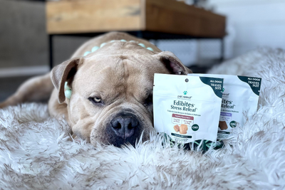 4 Ways to Try Pet Releaf's CBD Hemp Oil Products at the Most Affordable Prices