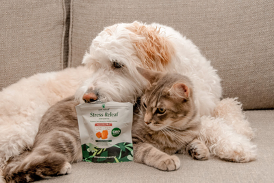 Buy Pet Releaf CBD For Dogs Online Or In-Store