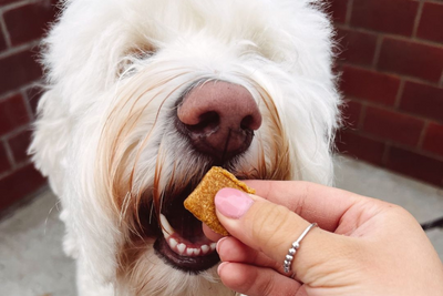 Pet Releaf Edibites: A Breakdown of Key Ingredients