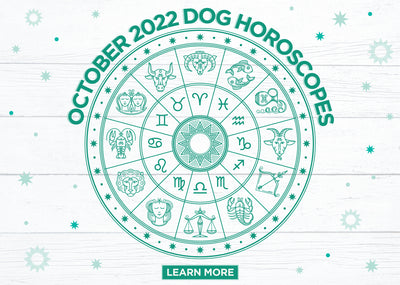 Dog Horoscopes: What to Expect in October 2022