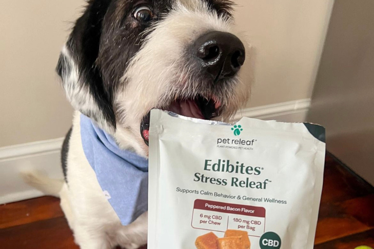 Pet Releaf stress releaf cbd hemp calming edibite chews