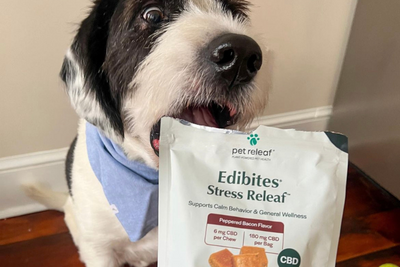 CBD Stress Releaf Edibites: What You Need To Know