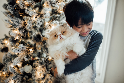 A Pet Owner's Guide to Hosting the Holidays
