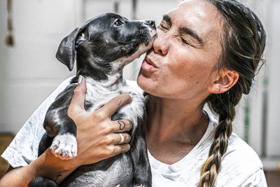 Do Pets Experience Love?