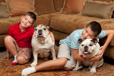 6 Ways To Prepare Your Pet For Back to School