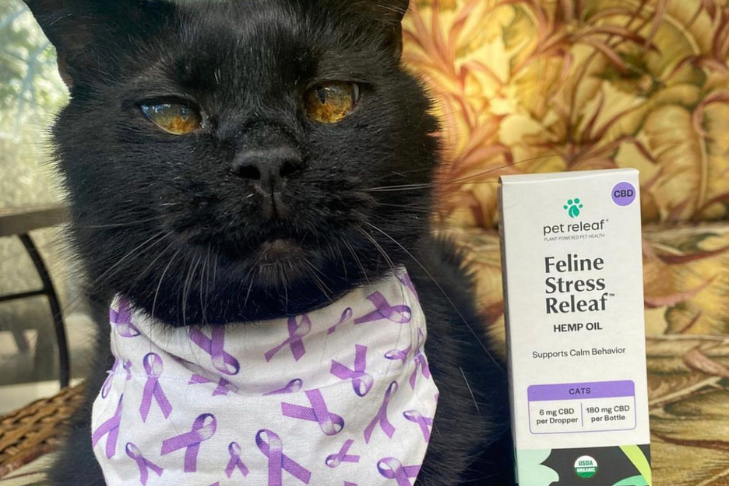 cat cbd feline hemp