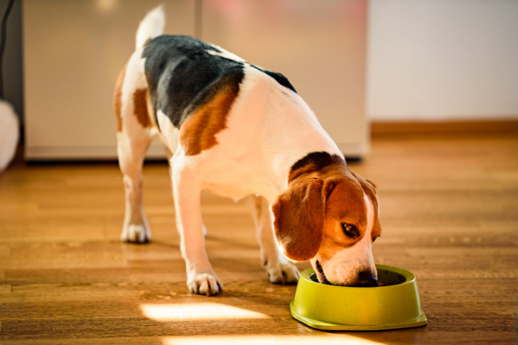 clean dog food and supplement ingredients