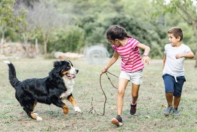 7 Simple Chores For Kids With Pets During The School Year