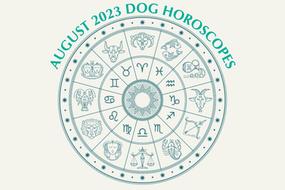 Dog Horoscopes: What to Expect in August 2023
