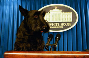 All the Presidents’ Pets: A History of Dogs, Cats, & More at the White House