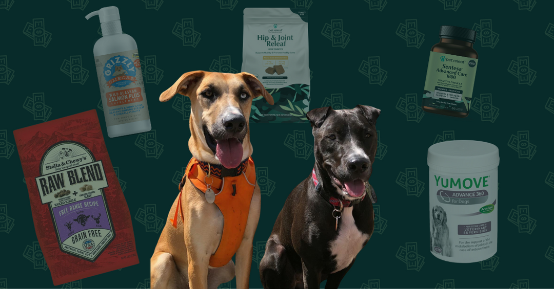 A Breakdown of My Monthly $600 Budget for Two Large Breed Dogs in Denver, Colorado (Pitbull mix and Shepherd mix aging with health concerns)