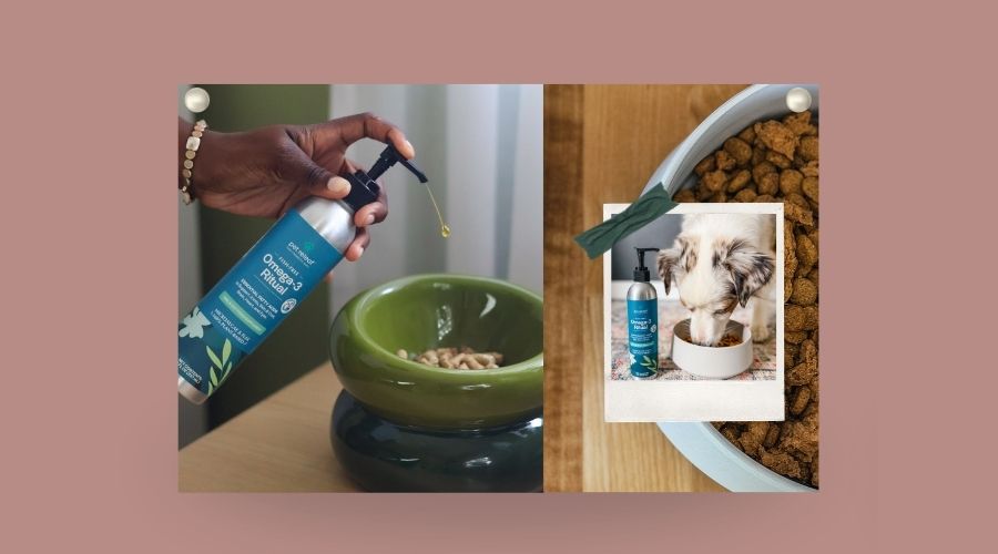 From Chelsea's Desk: A Product That Should Have Worked