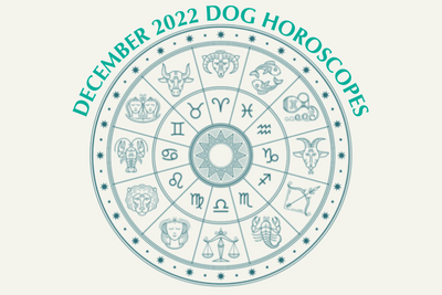 Dog Horoscopes: What to Expect in December 2022