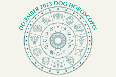 Dog Horoscopes: What to Expect in December 2023
