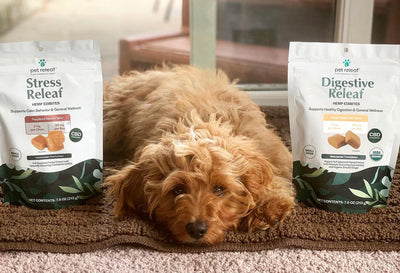 Pet Releaf Dispels Hemp Myths and Educates Pet Owners on the Benefits of CBD