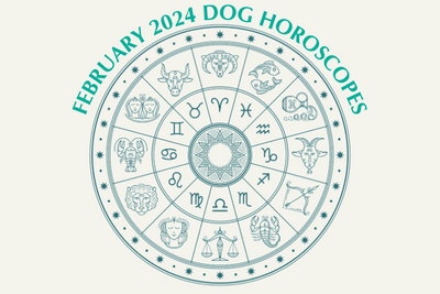 Dog Horoscopes: What to Expect in February 2024