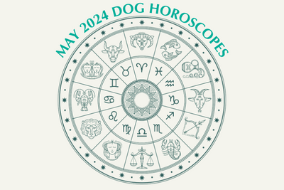 Dog Horoscopes: What to Expect in May 2024