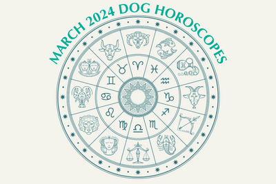 Dog Horoscopes: What to Expect in March 2024