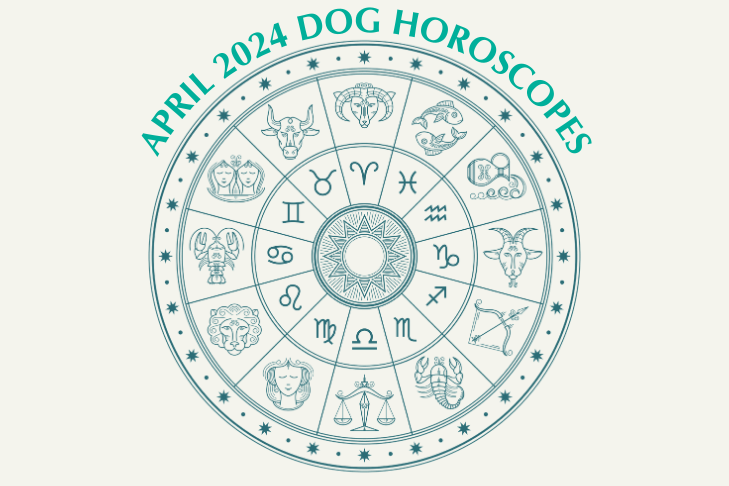 Dog Horoscopes: What to Expect in April 2024