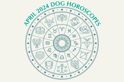 Dog Horoscopes: What to Expect in April 2024