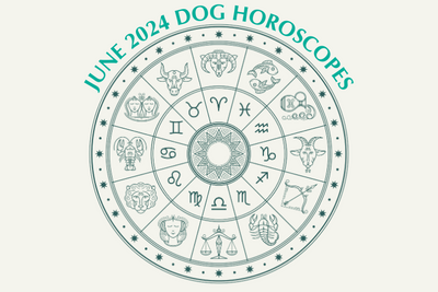 Dog Horoscopes: What to Expect in June 2024