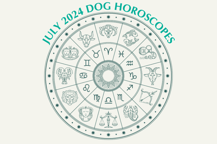 July 2024 Dog Horoscopes