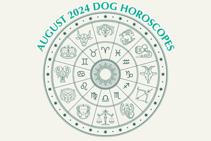 Dog Horoscopes: What to Expect August 2024