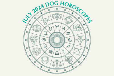Dog Horoscopes: What to Expect in July 2024