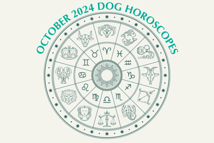 Dog Horoscopes: What to Expect October 2024