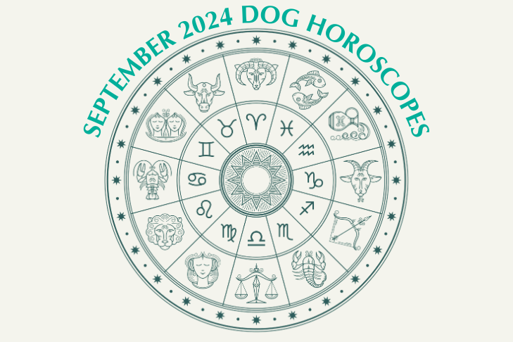 Dog Horoscopes: What to Expect September 2024