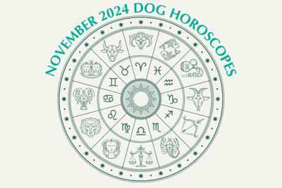 Dog Horoscopes: What to Expect November 2024