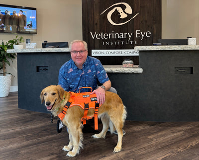 Sandi Lost Her Vision Overnight; Her Rescue Stepped Up Immediately