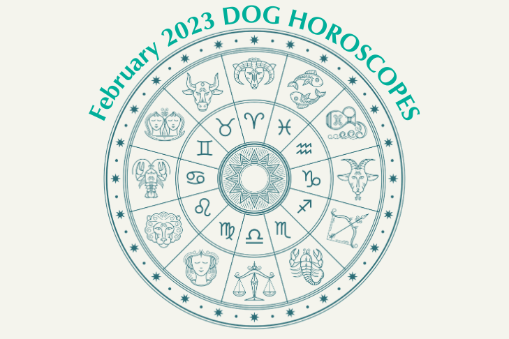 February Horoscopes for dogs