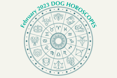 Dog Horoscopes: What to Expect in February 2023
