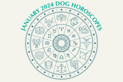 Dog Horoscopes: What to Expect in January 2024