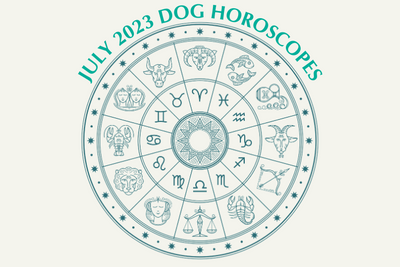 Dog Horoscopes: What to Expect in July 2023