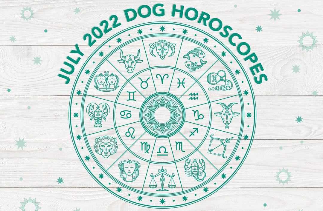 July Horoscopes For Dogs