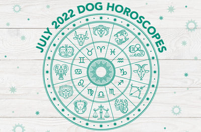 Dog Horoscopes: What to Expect in July 2022