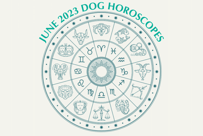 Dog Horoscopes: What to Expect in June 2023