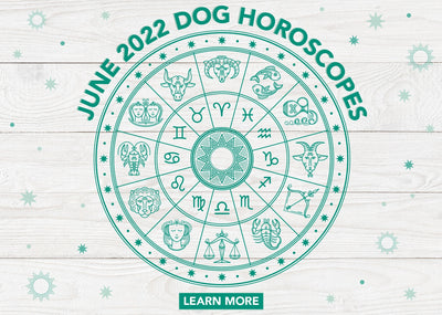 Dog Horoscopes: What to Expect in June 2022