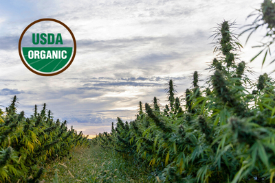 What is a USDA Certification?