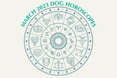 Dog Horoscopes: What to Expect in March 2023