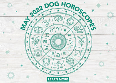 Dog Horoscopes: What to Expect in May 2022