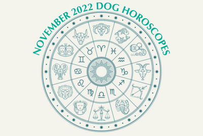 Dog Horoscopes: What to Expect in November 2022