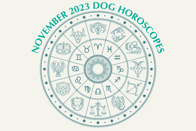Dog Horoscopes: What to Expect in November 2023
