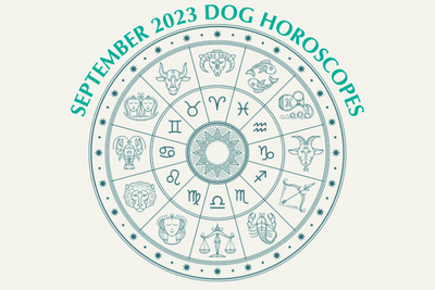 Dog Horoscopes: What to Expect in September 2023