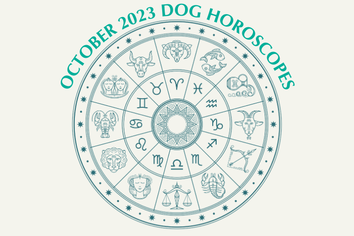 October Horoscope Web Image