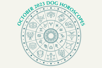 Dog Horoscopes: What to Expect in October 2023